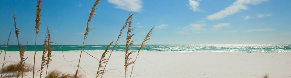 Destin Florida - Destin Fishing Charters